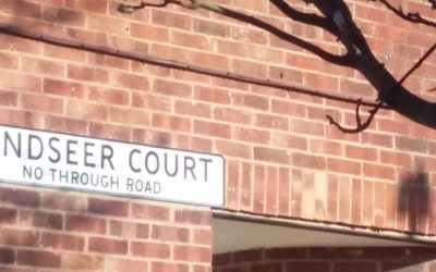 On the Street Where Scotties Live