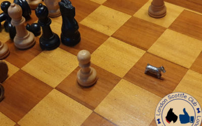 The Making of the Scottie Club UK 2021 Calendar