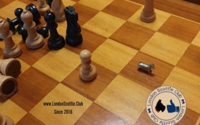 Order the LSC Calendar 2021 until 18 October!