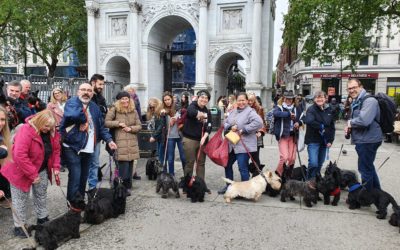 Record march turnout after lockdown