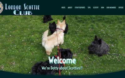 Welcome to the new-normal website