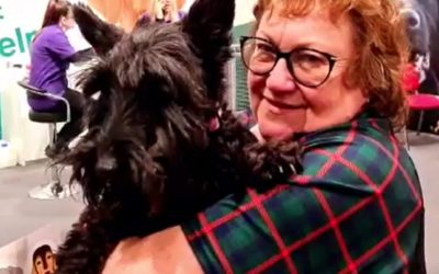 EP 14: Collared! Fostering a Scottie
