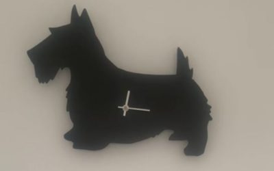 Don’t Bark Back in Anger