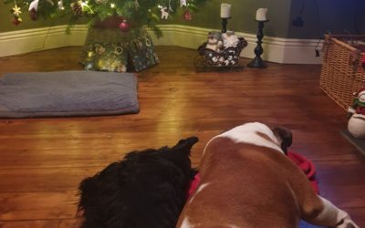 Wishing you Seasonal Scotties