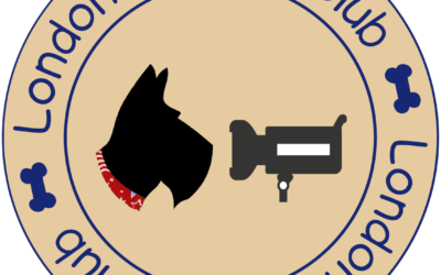 Unwrapping the LSC Promo video