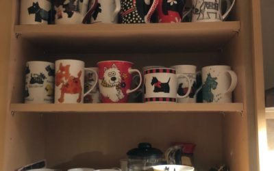 It’s a Scottie Mugs Game
