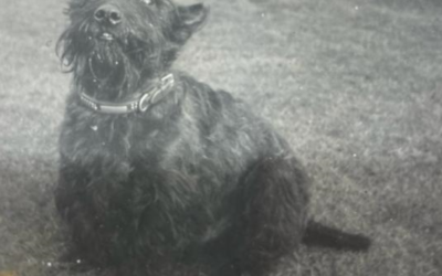 Ghillie the Fighter (Pilot)