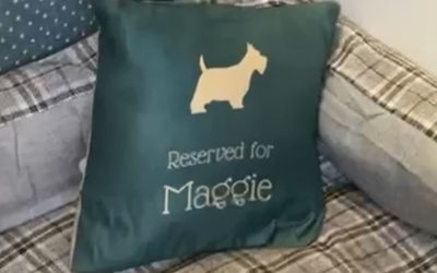 Sofa So Scottie
