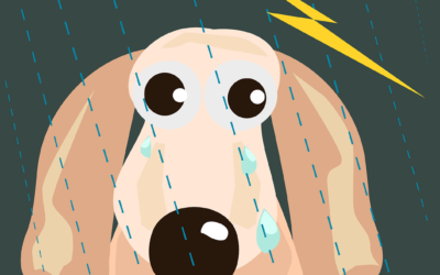 Shock Cost of raising a Scottie