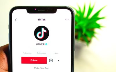 Clockwork Scotties – TikTok is here