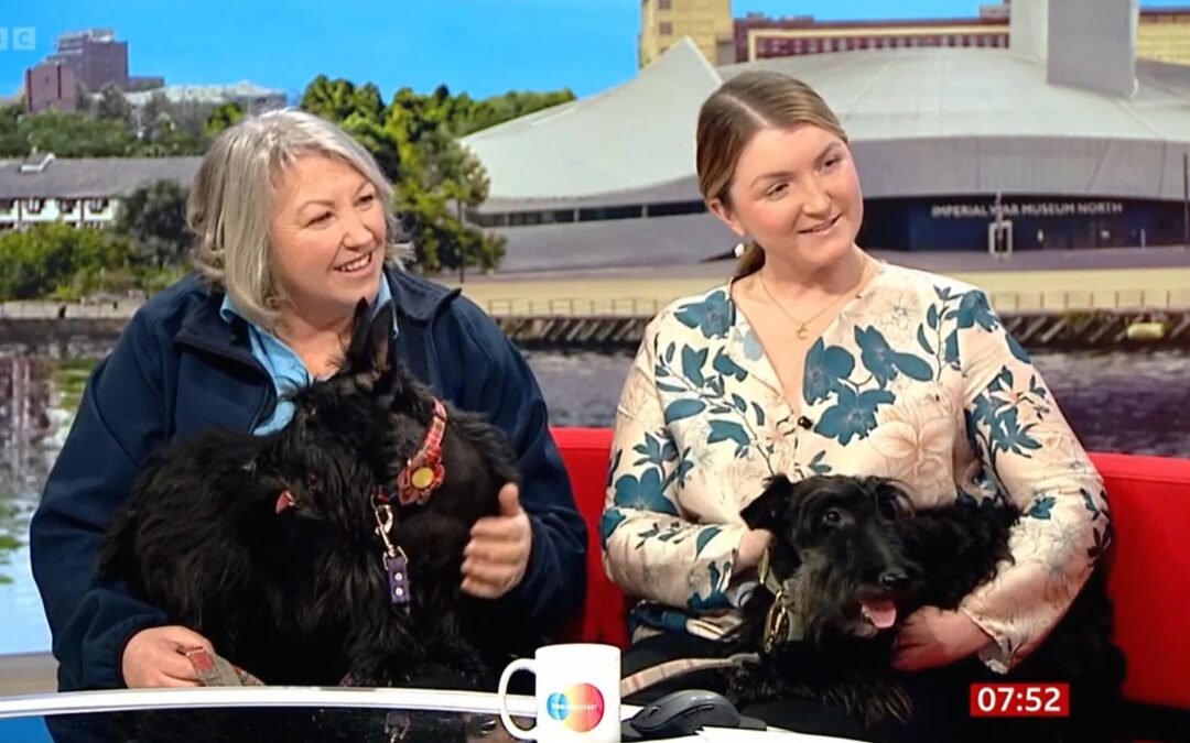 Scotties are like marmite – BBC Breakfast Show