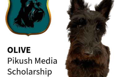 Olive awarded the Pikush Media Scholarship 2025