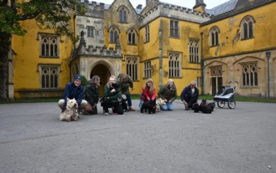 Scottie Club UK meets in Bristol