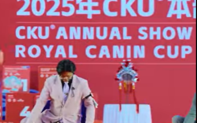 Scotties Long Walk in China