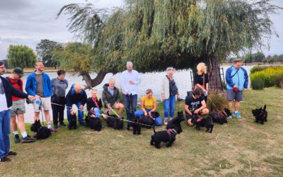 Scotties Make A Splash In Bushy Park